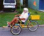 Wally on trike